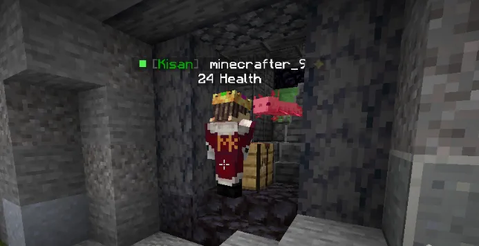 CraftNepal - Ultimate Nepalese Minecraft Server